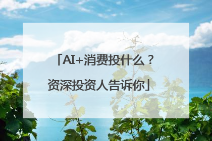 AI+消费投什么？资深投资人告诉你